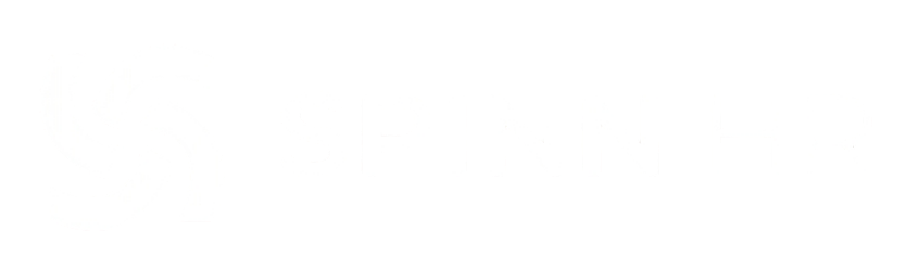 SpinnHR
